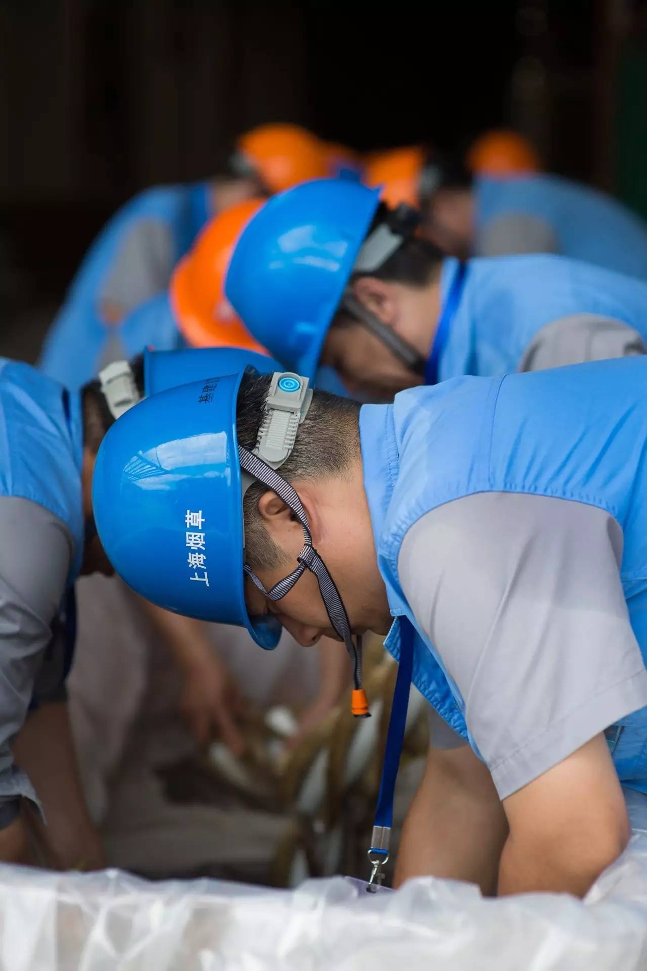 开云体育APP下载-田径赔率刷新纪录，竞猜热度飙升