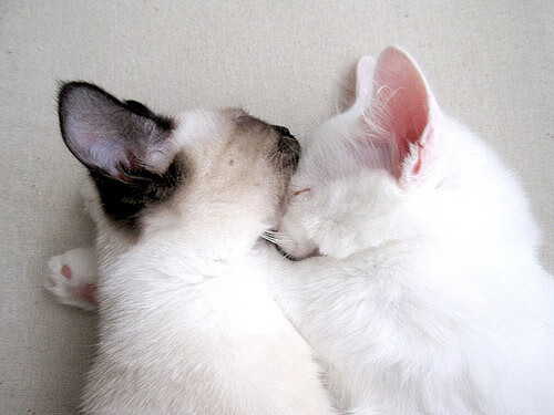 铁骨托起悬崖，托尼如何一人扛起乌拉圭，提前宣判威尔士死刑