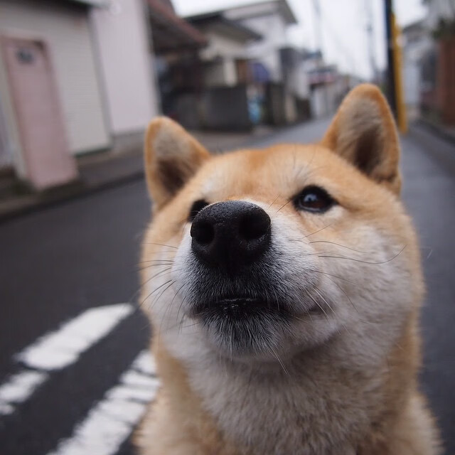 一场长达95分钟的谎言，佩德里如何用60秒戳穿了它