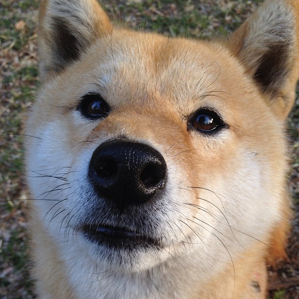 突尼斯对阵摩洛哥，门迪在非洲杯焦点战中证明自己的价值