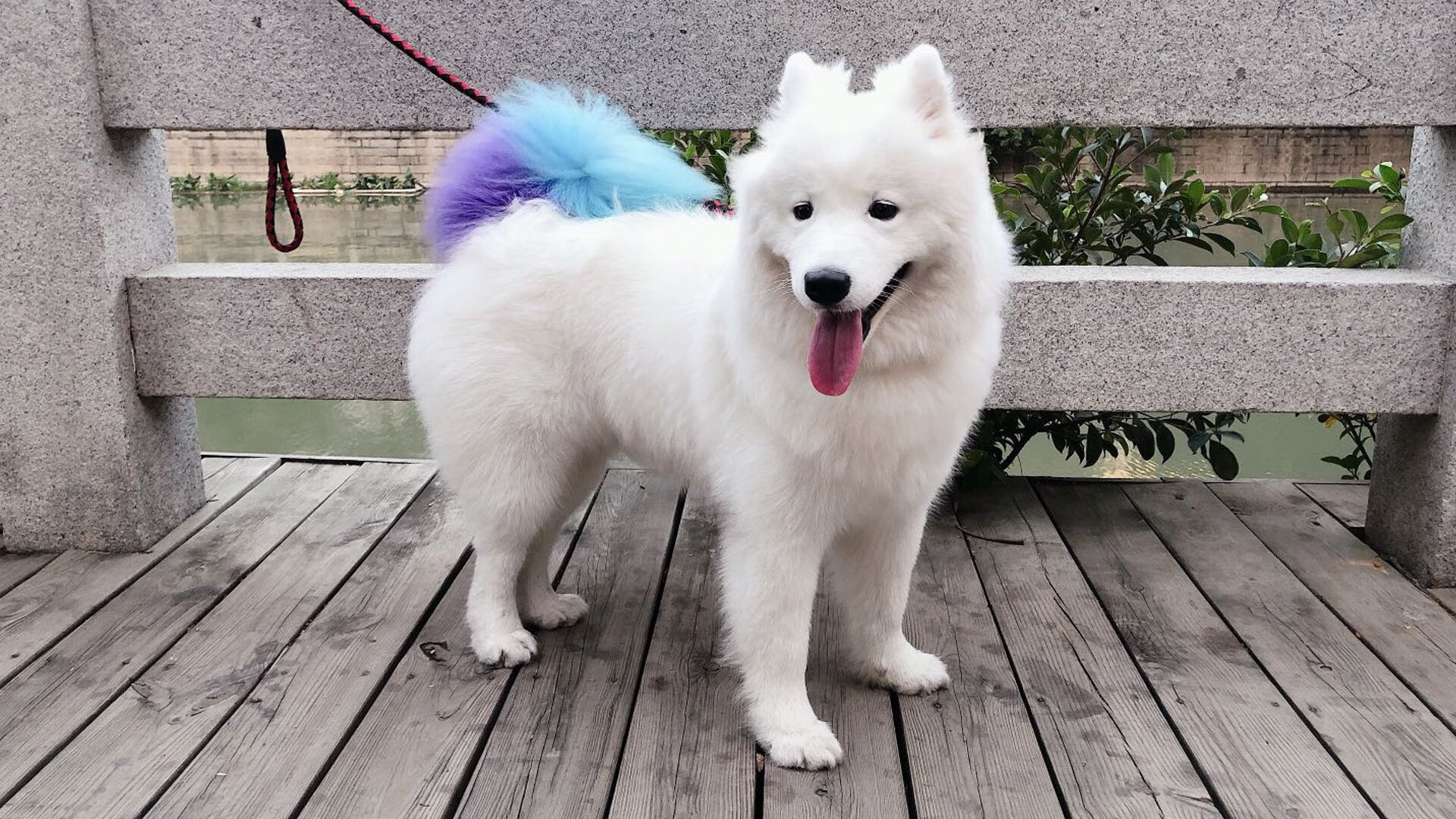 开云体育中国-委内瑞拉对阵苏格兰，莱奥关键节点连续得分，化身比赛胜负手