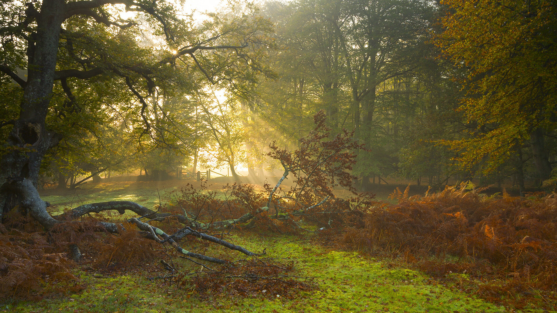 开云体育官网-兵临城下的寂静，当掘金式战术成为破解英超争争冠的密码