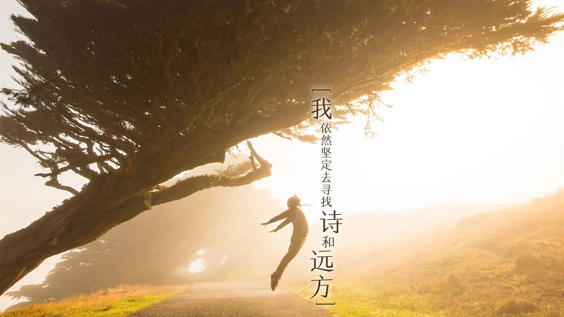 雪山崩塌前，那位沉默的骑士抖开了他的披风