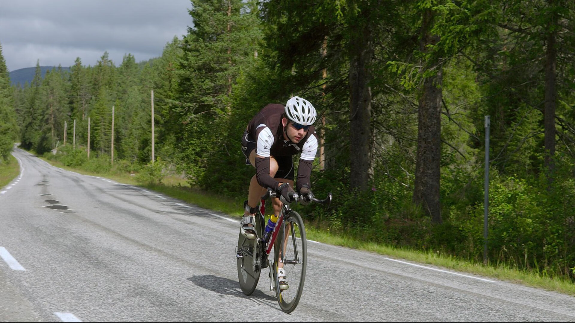 指挥家莫兰特，以灰熊为琴，在猛龙的咆哮中奏响控场交响曲