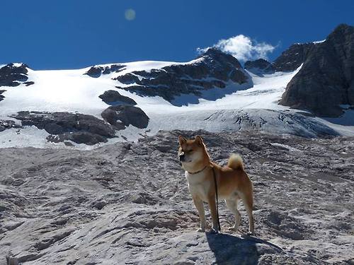 开云体育中国-利拉德，压力骤雨中的雷霆独舞，鹈鹕提前编织胜利魔网，魔术幻想熄灭