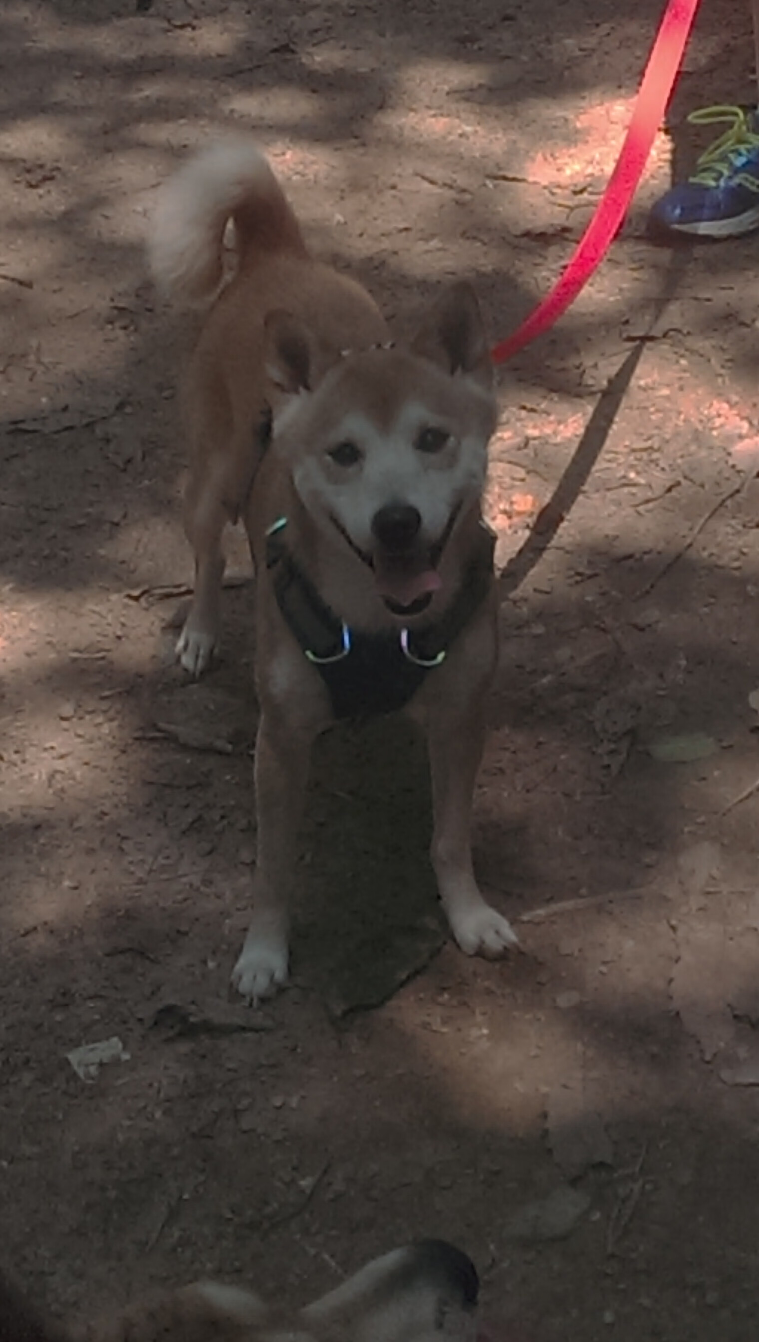 赢或回家，当国家德比的呼吸与淘汰赛的心跳，在同一时辰共振