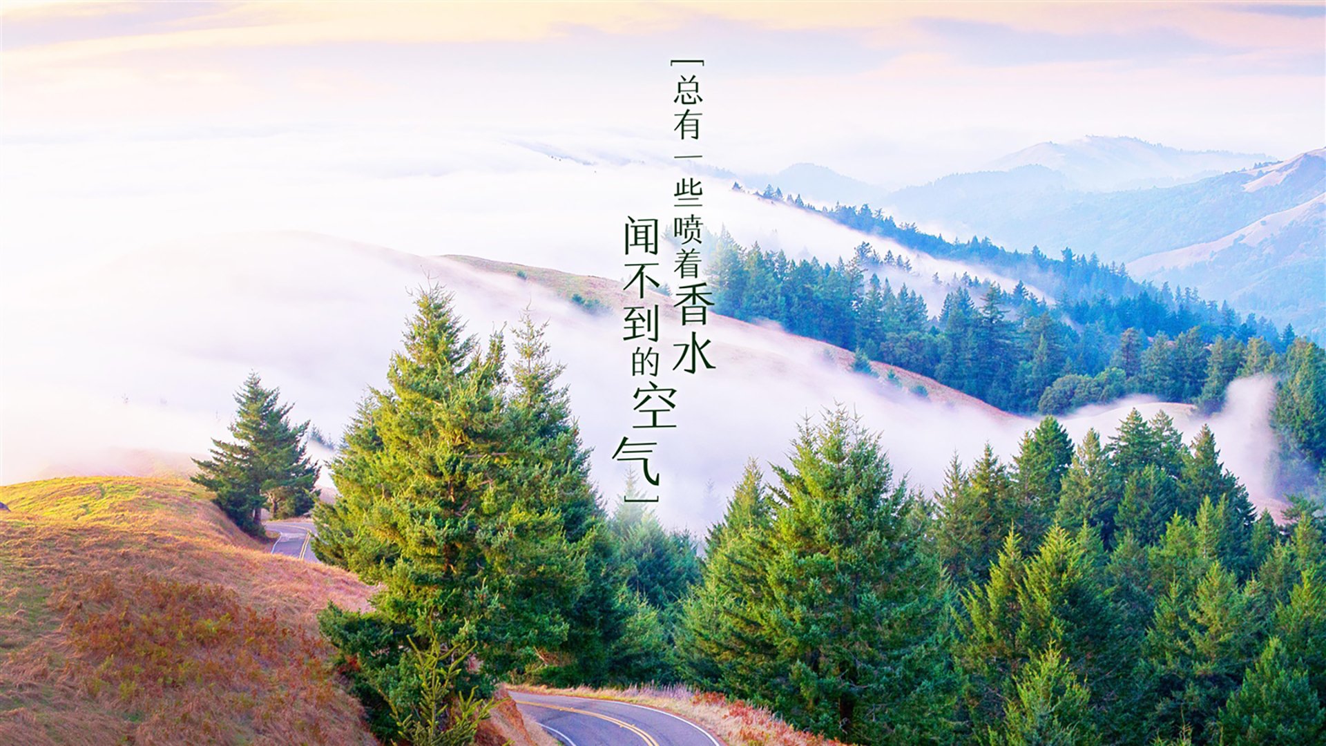 北欧神话的最后一笔，与一个南美老兵的黄昏—2026世界杯G组绝杀夜，苏亚雷斯的唯一答案