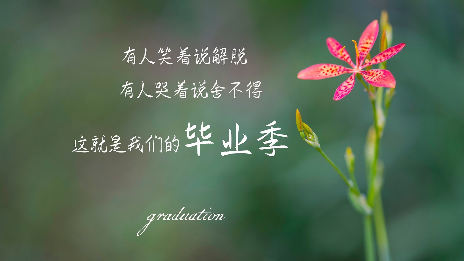 最后一舞的绝唱,当西班牙的完美风暴,撞上吉鲁的不老传说